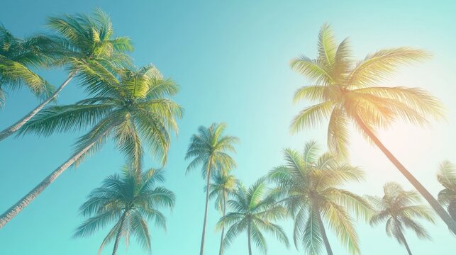 A tropical beach with tall palm trees swaying in the breeze under a clear blue sky.
