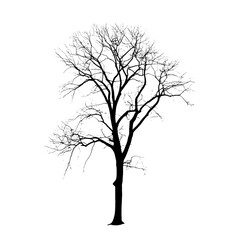 Fototapeta premium Higher tree silhouette illustration black vector