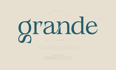 Grande Elegant Font Uppercase Lowercase And Number. Classic Lettering Minimal Fashion Designs. Typography modern serif fonts regular decorative vintage concept. vector illustration
