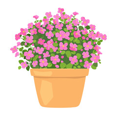 Potted plant pink alyssum flowers illustration potted potted plant vector