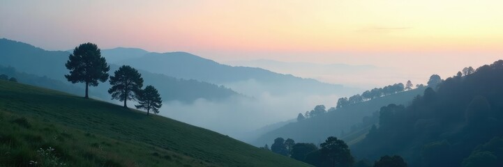 Obraz premium Foggy morning landscape with misty hills and trees, hills, trees, HD