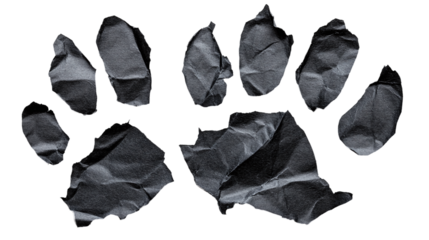 Pieces of torn black paper in animal claw shape png with white transparent background for creative design projects and unique art concepts.