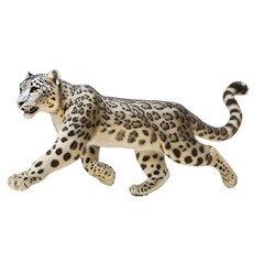 Fototapeta premium Snow Leopard isolated on white or transparent background 