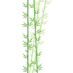 Obraz premium Bamboo Plant Flat Illustration
