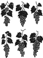 Grapes Silhouettes Collection