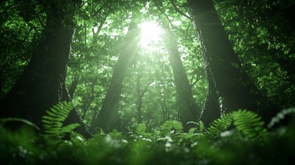 Fototapeta premium Sunlit Forest Lush Greenery Tranquil Nature Scene AI Generated