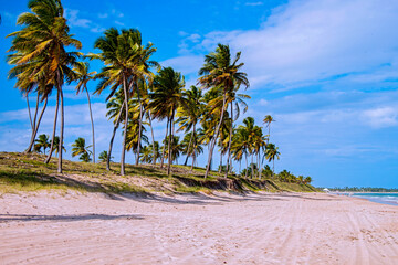 Obraz premium Guarajuba Beach, considered one of the best beaches of coconut-trees and natural pools in Brazil. It is a touristic region par-excellence, distinguished by its natural beauty. Bahia, 2022