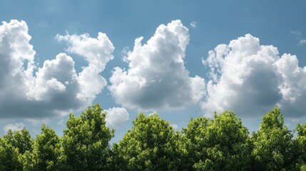 Obraz premium Lush Green Trees Against a Cloudy Sky Nature Summer Environment Landscape Photography