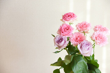 ピンクと紫のばら