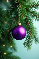 Fototapeta premium Evergreen pine branches intertwined with a purple ball, Christmas tree, pine branch, greenery