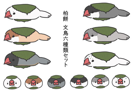 シルバー文鳥 Images – Browse 94 Stock Photos, Vectors, and Video