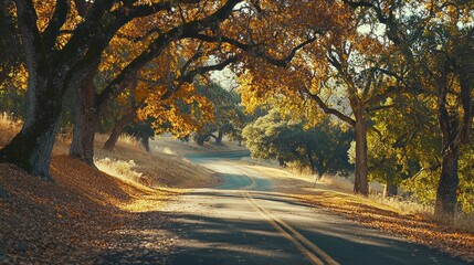 Obraz premium A picturesque oak tree-lined road during autumn, with colorful leaves falling.