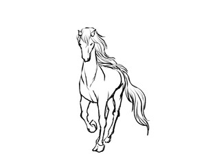 歩く馬の筆書き線画イラスト