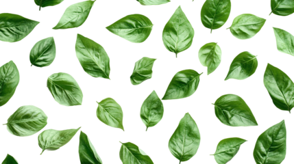 High-resolution leaves pile top view png with transparent background for creative design projects, nature-themed illustrations, and seasonal graphics.