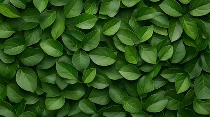 Obraz premium Fresh Green Leaves Background for Nature and Eco-Friendly Themes