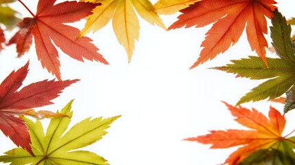 Autumn Maple Leaves Frame on White Background