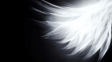 Feathered wings in motion with ethereal glow, angelic abstract background