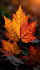 Fototapeta premium Intricate leaf vein patterns, warm earthy tones, natural, red