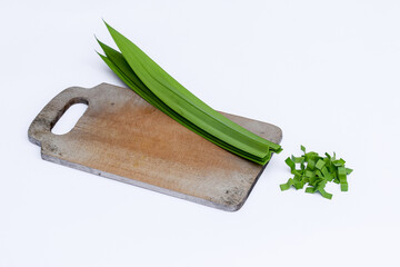 Pandanus leaves (Pandanus amaryllifolius) white background