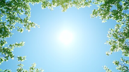 Obraz premium Bright Sunlight Through Green Leaves and Blue Sky