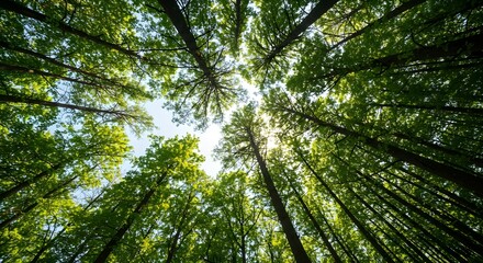 Beautiful rays of sunlight in a green forest. Generative AI.