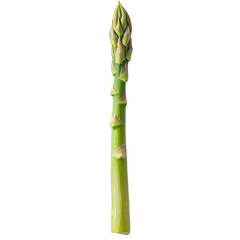 Fototapeta premium Fresh asparagus transparent png with