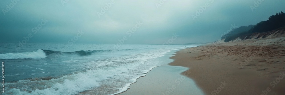 Poster lonely seashore with gentle waves under an overcast sky at quiet coastal retreat generative ai