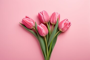 Fototapeta premium there are pink tulips on a pink background with a green stem