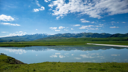the river in the mountains, flowers.