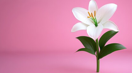 Naklejka premium White Lily on Pink Background, 3D Illustration