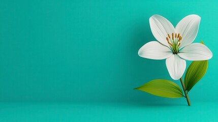 Naklejka premium White Lily On Mint Green Background Studio Shot