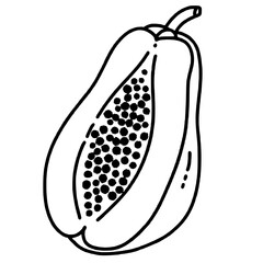 The inside of a papaya line art drawing of Traditional Thai Bangkok Thailand Illustration 