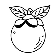 A mangosteen line art drawing of Traditional Thai Bangkok Thailand Illustration 