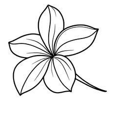 Magnolia flower line art drawing of Traditional Thai Bangkok Thailand Illustration 