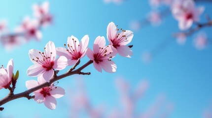 Twig with detailed pink blossoms, against a vivid blue sky with natural light and depth.