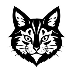 A black and white cat head looking towards