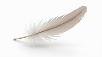 Obraz premium feather with detailed strands floating against a crisp white background with natural shadows