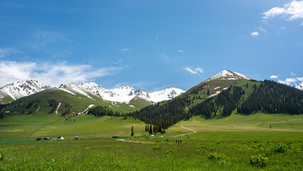 snow mountain landscape, gressland
