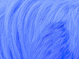 The beautiful background texture from dog fur, close up abstract textured.