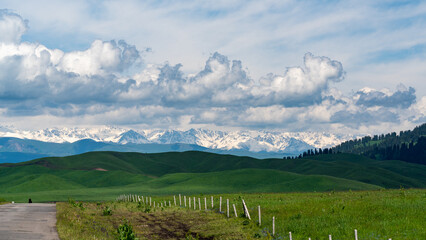 snow mountain landscape, gressland