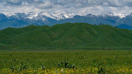 snow mountain landscape, gressland