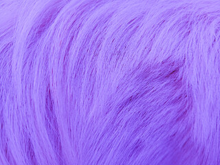 The beautiful background texture from dog fur, close up abstract textured.