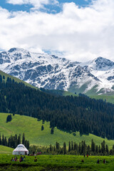 snow mountain landscape, gressland