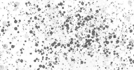 Noise gradient vector texture. Dotwork gradient pattern background. Black noise stipple dots. Sand grain effect. Abstract noise dotwork pattern. Gradient circles. Stochastic dotted grunge banner