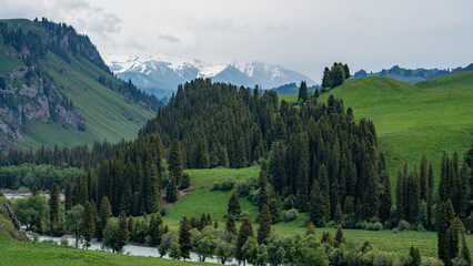 panorama of the mountains