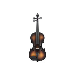 Fototapeta premium Sunburst Violin on Transparent Background