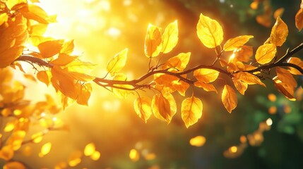 Obraz premium Golden yellow leaves dangle on a branch, bathed in sun's warm glow, casting radiant light patterns amidst nature's serene beauty