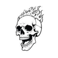 Skull head with fire illustration