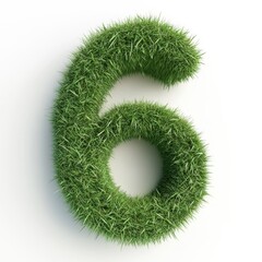 Number Six Shaped in Green Grass