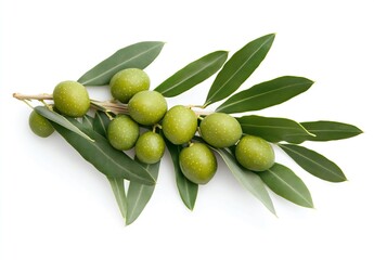 Fresh Green Olives with Olive Leaves on a Branch Displayed for Culinary Use : Generative AI